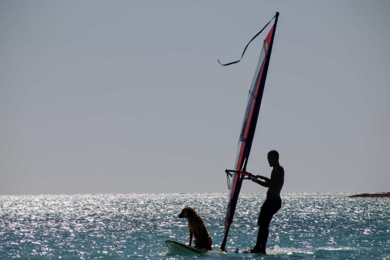 mer planche à voile sports été sport